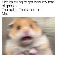 Check spelling or type a new query. Low Key That Hamster Gerbil Thing Is Kinda Cute Memes