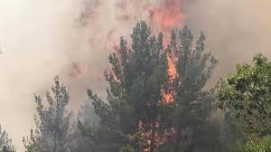 Jul 16, 2021 · mersin 'in aydıncık ilçesinde çıkan orman yangını devam ederken, havadan 3 uçak ile 21 helikopter ve karadan 164 arozöz yangına müdahale ediyor. Mersin Deki Orman Yangini Ikinci Gununde De Devam Ediyor Son Dakika Haberleri