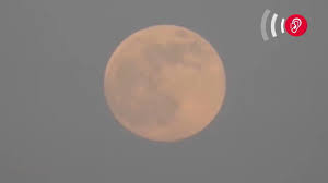 Wahrscheinlich wirst du ihn auch spüren, denn in dieser phase. Warum Ist Der Vollmond Im Mai Ein Supermond Und Blutmond Zugleich Wetter De