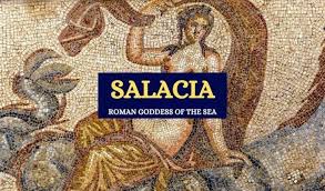 Image result for Salacia