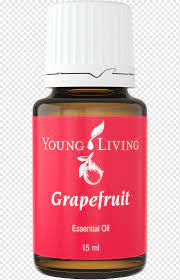 We did not find results for: Young Living Essential Oil Lemongrass Carrier Oil Oil Food Oil Aroma Compound Png Pngwing