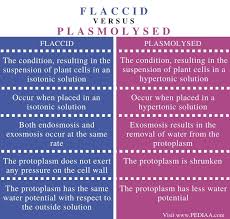 Maybe you would like to learn more about one of these? What Is The Difference Between Flaccid And Plasmolysed Pediaa Com