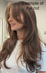 Where to get a layered cut and blow out in Perth?