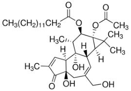 Pma belongs to a family of substances known as the substituted amphetamines. Phorbol 12 Myristate 13 Acetate 99 Tlc Film Or Powder 16561 29 8 Sigma Aldrich