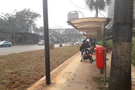 Di sekitar belukar dan rumput gersang. Warga Bingung Ada Area Rumput Pisahkan Halte Bus Dengan Jalan Raya Di Sudirman