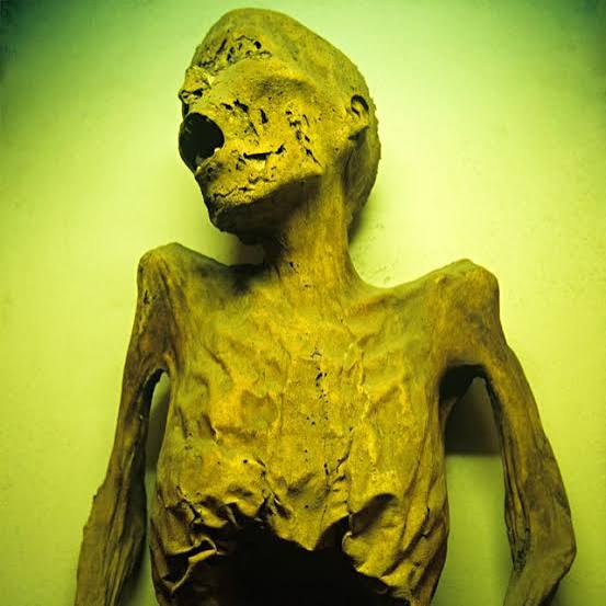 Scientists Finally Explain the Deadly Mummy's Curse: What Is It?