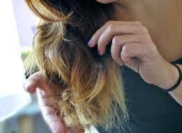 ¿tu pelo está quemado y luce reseco, sin vida y áspero? Mascarillas Caseras Para El Cabello Quemado Por Decoloracion 5 Mascarillas Hidratantes Soldier El Peluca Molesto