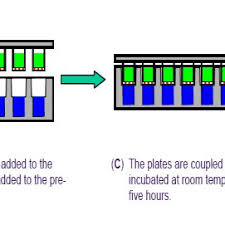 Antikoagulantien pass pdf / medizinische und chemische. Pdf Evaluation Of Tissue Permeability Of Novel Copper Based Anti Arthritic Drugs