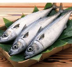 know vanjaram fish names in different local languages english tamil telugu kannada hindi malayalam marathi bengali in 2021 fishing world spanish mackerel fish
