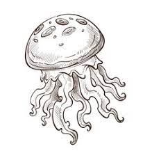 Learn about endangered animals and their babies or prepare for a farm field trip with free animal coloring pages. Pencil Sea Animals Drawings Vector Images Over 430