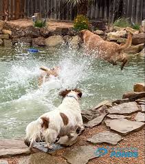 Premium Rpe Pond Liner