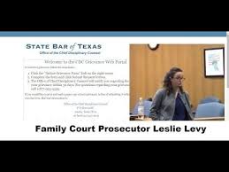 Report Family Court S Leslie Levy To Bar Association Mgtow Youtube Youtube Family Court Misandry