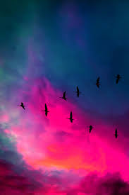 Whatsapp Arka Plan Duvar Kagitlari Tumblr 11 Piclect A collection of the top tumblr duvar kağıtları wallpapers and backgrounds available for download for free. whatsapp arka plan duvar kagitlari