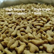 Maybe you would like to learn more about one of these? Makanan Kucing Murah 100 Ikan Laut High Protein Orgenic Dha High Grain Cat Food