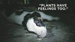 Animals Don T Need Your Excuses Please Leave Animals Off Your Plate Mercy For Animals Plants Have Feelings Animals
