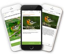 One and only app on google play to identify any birds species with photo taken from camera. What S That Bird Merlin App Has The Answer Cornell Chronicle