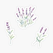 Pin On Flower Stickers