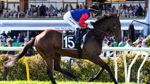 Fox Sports - News update