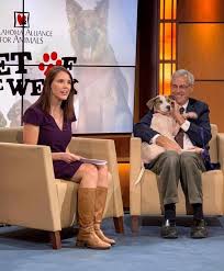 Natalie nyhus and jamie b31. The Appreciation Of Booted News Women Blog Shannon Rousseau Knows That Boots Are A Girl S Bes In 2021 Girls Best Friend Shannon Girl