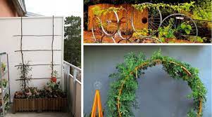 And they may also do a good job of covering up the ugly exterior of your neighbour's house. 41 Best Diy Garden Trellis Ideas 27 Is Awesome