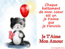 Image Je T Aime Gratuite Avec Doux Chat Et Phrase D Amour