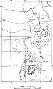 Image result for Pycreus fluminalis