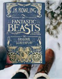 Pin By Haley On Books Fantastic Beasts Fantastic Beasts And Where Newt Fantastic Beasts