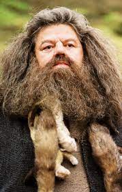 Rubeus Hagrid Harry Potter Wiki Fandom Powered By Wikia Harry Potter Characters Harry Potter Movies Harry Potter