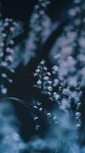 Discover the magic of the internet at imgur, a community powered entertainment destination. Iphone Home Screen Wallpaper 4k 675x1200 Wallpaper Teahub Io