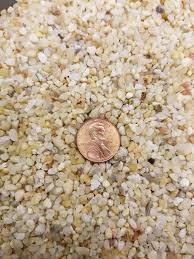 The only sand that i've been able to locate in bulk has been coarse builder's sand. Coarse Silica Sand 1 Quart For Bonsai Cacti Succulent And Carnivorous Plant Mix Buy Online In Bahamas At Bahamas Desertcart Com Productid 37179296