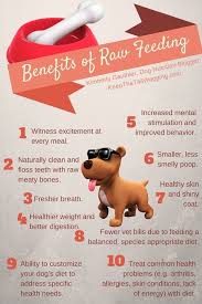 Choose The Best Freeze Dried Raw Dog Food Raw Dog Food Recipes Raw Feeding For Dogs Dog Food Recipes