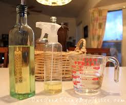 How To Make Your Own Inexpensive Cooking Spray In Seconds Yummmmm Miscellaneous Homemade Cooking Spray Cooking Recipes