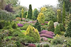 The Real Garden Of Eden Garden Of Eden Kea Photography Garden Of Eden Garden Eden