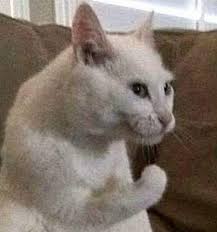 Trending images and videos related to hand! The History Behind The Meme How Italians Do Things By Andrea D Angelo Medium