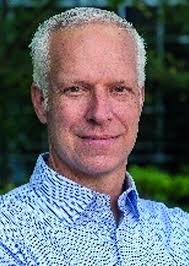 Bottlebrush Networks: A Primer for Advanced Architectures