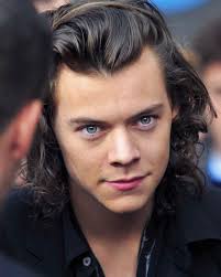 Hello My Prince Harry Styles 😊😊😍😍...