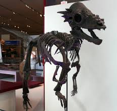 Pachycephalosaurus - Wikipedia