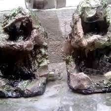 Waterfall Paludarium Harga Satuan 50 Ribunwa Grape Leaves Rocks And Crystals Crystals