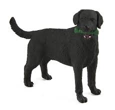 Rd.com pets & animals dogs mitja2/getty images there's a lot of debate about what the cutest dog breeds are. Buy Safari Ltd Labrador Pet Toy Black Online At Low Prices In India Amazon In