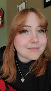 Room for Rent in St Charles St Peters Area