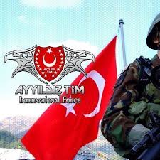 Topic · Ayyıldız tim · Change org