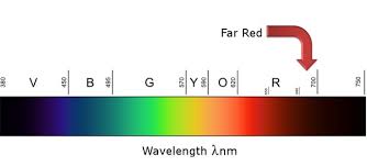 How Does The Far Red Light Spectrum Affect Plants California Lightworks