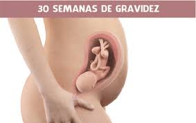 30 Semanas De Gravidez