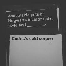 I finally said i'm game and the rest is history. Harry Potter Version Of Cards Against Humanity Exists And It S What Every Adult Muggle Needs Bored Panda