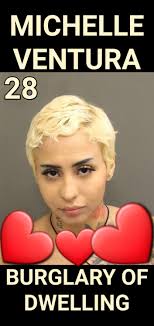 MICHELLE VENTURA BATTERY