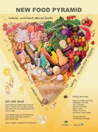 Image result for Nutrition Guidelines