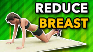 And these will easily reduce belly fat by increasing your blood metabolism. Breast Workout Roberta S Gym At Home Fitness Workouts And Exercises