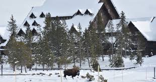 Old faithful inn is one of the few remaining log hotels in the united states. How To Travel To Old Faithful In The Winter Gardiner Montana