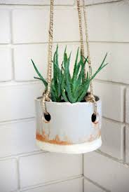 Idees De Decoration Interieure Avec La Plante D Aloe Vera Pots De Fleurs Suspendus Pot Suspendu Jardiniere Suspendue