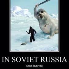 Seal Clubbing Other Terms Aircraft Carriers World Of Warships Official Forum